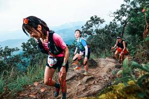 BIB: 
                            <button type="button" onclick="openModal(25416545)" class="btn btn-primary btn-sm float-right btn-popup" data-toggle="modal" data-target=".modal-high-quality">
                        <i class="fas fa-shopping-cart"></i> Add to Cart
                    </button>
                                            <button type="button" onclick="isThisMe(25416545, true)" class="btn btn-success btn-sm float-right btn-popup btn-isme hidden" data-toggle="tooltip" data-placement="bottom" title="นี่คือรูปของคุณใช่ไหม คลิกที่นี่เพื่อเอาเข้าอัลบั้ม">
                        <i class="fas fa-plus"></i> Add to album
                    </button>
                    <button type="button" onclick="isThisMe(25416545, false)" class="btn btn-warning btn-sm float-right btn-popup btn-isnotme hidden">
                        <i class="fas fa-ban"></i> Remove from album
                    </button>