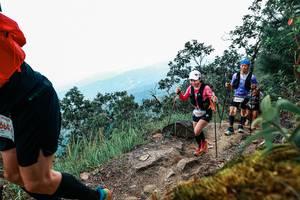 BIB: 
                            <button type="button" onclick="openModal(25425718)" class="btn btn-primary btn-sm float-right btn-popup" data-toggle="modal" data-target=".modal-high-quality">
                        <i class="fas fa-shopping-cart"></i> Add to Cart
                    </button>
                                            <button type="button" onclick="isThisMe(25425718, true)" class="btn btn-success btn-sm float-right btn-popup btn-isme hidden" data-toggle="tooltip" data-placement="bottom" title="นี่คือรูปของคุณใช่ไหม คลิกที่นี่เพื่อเอาเข้าอัลบั้ม">
                        <i class="fas fa-plus"></i> Add to album
                    </button>
                    <button type="button" onclick="isThisMe(25425718, false)" class="btn btn-warning btn-sm float-right btn-popup btn-isnotme hidden">
                        <i class="fas fa-ban"></i> Remove from album
                    </button>