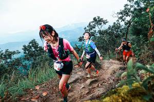 BIB: 
                            <button type="button" onclick="openModal(25416540)" class="btn btn-primary btn-sm float-right btn-popup" data-toggle="modal" data-target=".modal-high-quality">
                        <i class="fas fa-shopping-cart"></i> Add to Cart
                    </button>
                                            <button type="button" onclick="isThisMe(25416540, true)" class="btn btn-success btn-sm float-right btn-popup btn-isme hidden" data-toggle="tooltip" data-placement="bottom" title="นี่คือรูปของคุณใช่ไหม คลิกที่นี่เพื่อเอาเข้าอัลบั้ม">
                        <i class="fas fa-plus"></i> Add to album
                    </button>
                    <button type="button" onclick="isThisMe(25416540, false)" class="btn btn-warning btn-sm float-right btn-popup btn-isnotme hidden">
                        <i class="fas fa-ban"></i> Remove from album
                    </button>