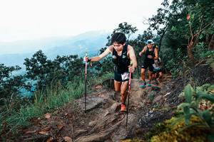 BIB: 
                            <button type="button" onclick="openModal(25415795)" class="btn btn-primary btn-sm float-right btn-popup" data-toggle="modal" data-target=".modal-high-quality">
                        <i class="fas fa-shopping-cart"></i> Add to Cart
                    </button>
                                            <button type="button" onclick="isThisMe(25415795, true)" class="btn btn-success btn-sm float-right btn-popup btn-isme hidden" data-toggle="tooltip" data-placement="bottom" title="นี่คือรูปของคุณใช่ไหม คลิกที่นี่เพื่อเอาเข้าอัลบั้ม">
                        <i class="fas fa-plus"></i> Add to album
                    </button>
                    <button type="button" onclick="isThisMe(25415795, false)" class="btn btn-warning btn-sm float-right btn-popup btn-isnotme hidden">
                        <i class="fas fa-ban"></i> Remove from album
                    </button>