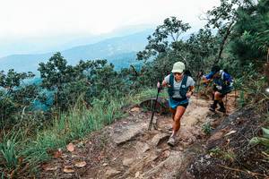 BIB: 
                            <button type="button" onclick="openModal(25424483)" class="btn btn-primary btn-sm float-right btn-popup" data-toggle="modal" data-target=".modal-high-quality">
                        <i class="fas fa-shopping-cart"></i> Add to Cart
                    </button>
                                            <button type="button" onclick="isThisMe(25424483, true)" class="btn btn-success btn-sm float-right btn-popup btn-isme hidden" data-toggle="tooltip" data-placement="bottom" title="นี่คือรูปของคุณใช่ไหม คลิกที่นี่เพื่อเอาเข้าอัลบั้ม">
                        <i class="fas fa-plus"></i> Add to album
                    </button>
                    <button type="button" onclick="isThisMe(25424483, false)" class="btn btn-warning btn-sm float-right btn-popup btn-isnotme hidden">
                        <i class="fas fa-ban"></i> Remove from album
                    </button>