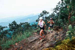 BIB: 
                            <button type="button" onclick="openModal(25415476)" class="btn btn-primary btn-sm float-right btn-popup" data-toggle="modal" data-target=".modal-high-quality">
                        <i class="fas fa-shopping-cart"></i> Add to Cart
                    </button>
                                            <button type="button" onclick="isThisMe(25415476, true)" class="btn btn-success btn-sm float-right btn-popup btn-isme hidden" data-toggle="tooltip" data-placement="bottom" title="นี่คือรูปของคุณใช่ไหม คลิกที่นี่เพื่อเอาเข้าอัลบั้ม">
                        <i class="fas fa-plus"></i> Add to album
                    </button>
                    <button type="button" onclick="isThisMe(25415476, false)" class="btn btn-warning btn-sm float-right btn-popup btn-isnotme hidden">
                        <i class="fas fa-ban"></i> Remove from album
                    </button>