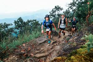 BIB: 
                            <button type="button" onclick="openModal(25416220)" class="btn btn-primary btn-sm float-right btn-popup" data-toggle="modal" data-target=".modal-high-quality">
                        <i class="fas fa-shopping-cart"></i> Add to Cart
                    </button>
                                            <button type="button" onclick="isThisMe(25416220, true)" class="btn btn-success btn-sm float-right btn-popup btn-isme hidden" data-toggle="tooltip" data-placement="bottom" title="นี่คือรูปของคุณใช่ไหม คลิกที่นี่เพื่อเอาเข้าอัลบั้ม">
                        <i class="fas fa-plus"></i> Add to album
                    </button>
                    <button type="button" onclick="isThisMe(25416220, false)" class="btn btn-warning btn-sm float-right btn-popup btn-isnotme hidden">
                        <i class="fas fa-ban"></i> Remove from album
                    </button>