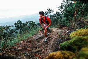 BIB: 
                            <button type="button" onclick="openModal(25402734)" class="btn btn-primary btn-sm float-right btn-popup" data-toggle="modal" data-target=".modal-high-quality">
                        <i class="fas fa-shopping-cart"></i> Add to Cart
                    </button>
                                            <button type="button" onclick="isThisMe(25402734, true)" class="btn btn-success btn-sm float-right btn-popup btn-isme hidden" data-toggle="tooltip" data-placement="bottom" title="นี่คือรูปของคุณใช่ไหม คลิกที่นี่เพื่อเอาเข้าอัลบั้ม">
                        <i class="fas fa-plus"></i> Add to album
                    </button>
                    <button type="button" onclick="isThisMe(25402734, false)" class="btn btn-warning btn-sm float-right btn-popup btn-isnotme hidden">
                        <i class="fas fa-ban"></i> Remove from album
                    </button>