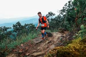 BIB: 
                            <button type="button" onclick="openModal(25414097)" class="btn btn-primary btn-sm float-right btn-popup" data-toggle="modal" data-target=".modal-high-quality">
                        <i class="fas fa-shopping-cart"></i> Add to Cart
                    </button>
                                            <button type="button" onclick="isThisMe(25414097, true)" class="btn btn-success btn-sm float-right btn-popup btn-isme hidden" data-toggle="tooltip" data-placement="bottom" title="นี่คือรูปของคุณใช่ไหม คลิกที่นี่เพื่อเอาเข้าอัลบั้ม">
                        <i class="fas fa-plus"></i> Add to album
                    </button>
                    <button type="button" onclick="isThisMe(25414097, false)" class="btn btn-warning btn-sm float-right btn-popup btn-isnotme hidden">
                        <i class="fas fa-ban"></i> Remove from album
                    </button>