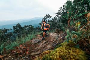 BIB: 
                            <button type="button" onclick="openModal(25403165)" class="btn btn-primary btn-sm float-right btn-popup" data-toggle="modal" data-target=".modal-high-quality">
                        <i class="fas fa-shopping-cart"></i> Add to Cart
                    </button>
                                            <button type="button" onclick="isThisMe(25403165, true)" class="btn btn-success btn-sm float-right btn-popup btn-isme hidden" data-toggle="tooltip" data-placement="bottom" title="นี่คือรูปของคุณใช่ไหม คลิกที่นี่เพื่อเอาเข้าอัลบั้ม">
                        <i class="fas fa-plus"></i> Add to album
                    </button>
                    <button type="button" onclick="isThisMe(25403165, false)" class="btn btn-warning btn-sm float-right btn-popup btn-isnotme hidden">
                        <i class="fas fa-ban"></i> Remove from album
                    </button>