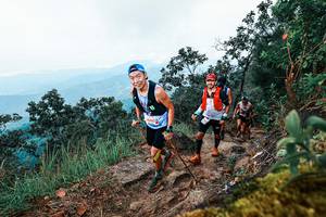 BIB: 
                            <button type="button" onclick="openModal(25415605)" class="btn btn-primary btn-sm float-right btn-popup" data-toggle="modal" data-target=".modal-high-quality">
                        <i class="fas fa-shopping-cart"></i> Add to Cart
                    </button>
                                            <button type="button" onclick="isThisMe(25415605, true)" class="btn btn-success btn-sm float-right btn-popup btn-isme hidden" data-toggle="tooltip" data-placement="bottom" title="นี่คือรูปของคุณใช่ไหม คลิกที่นี่เพื่อเอาเข้าอัลบั้ม">
                        <i class="fas fa-plus"></i> Add to album
                    </button>
                    <button type="button" onclick="isThisMe(25415605, false)" class="btn btn-warning btn-sm float-right btn-popup btn-isnotme hidden">
                        <i class="fas fa-ban"></i> Remove from album
                    </button>