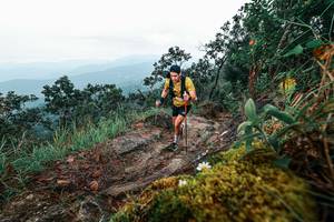 BIB: 
                            <button type="button" onclick="openModal(25403293)" class="btn btn-primary btn-sm float-right btn-popup" data-toggle="modal" data-target=".modal-high-quality">
                        <i class="fas fa-shopping-cart"></i> Add to Cart
                    </button>
                                            <button type="button" onclick="isThisMe(25403293, true)" class="btn btn-success btn-sm float-right btn-popup btn-isme hidden" data-toggle="tooltip" data-placement="bottom" title="นี่คือรูปของคุณใช่ไหม คลิกที่นี่เพื่อเอาเข้าอัลบั้ม">
                        <i class="fas fa-plus"></i> Add to album
                    </button>
                    <button type="button" onclick="isThisMe(25403293, false)" class="btn btn-warning btn-sm float-right btn-popup btn-isnotme hidden">
                        <i class="fas fa-ban"></i> Remove from album
                    </button>