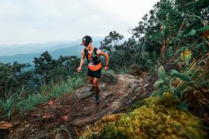 BIB: 
                            <button type="button" onclick="openModal(25403174)" class="btn btn-primary btn-sm float-right btn-popup" data-toggle="modal" data-target=".modal-high-quality">
                        <i class="fas fa-shopping-cart"></i> Add to Cart
                    </button>
                                            <button type="button" onclick="isThisMe(25403174, true)" class="btn btn-success btn-sm float-right btn-popup btn-isme hidden" data-toggle="tooltip" data-placement="bottom" title="นี่คือรูปของคุณใช่ไหม คลิกที่นี่เพื่อเอาเข้าอัลบั้ม">
                        <i class="fas fa-plus"></i> Add to album
                    </button>
                    <button type="button" onclick="isThisMe(25403174, false)" class="btn btn-warning btn-sm float-right btn-popup btn-isnotme hidden">
                        <i class="fas fa-ban"></i> Remove from album
                    </button>