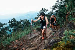 BIB: 
                            <button type="button" onclick="openModal(25415794)" class="btn btn-primary btn-sm float-right btn-popup" data-toggle="modal" data-target=".modal-high-quality">
                        <i class="fas fa-shopping-cart"></i> Add to Cart
                    </button>
                                            <button type="button" onclick="isThisMe(25415794, true)" class="btn btn-success btn-sm float-right btn-popup btn-isme hidden" data-toggle="tooltip" data-placement="bottom" title="นี่คือรูปของคุณใช่ไหม คลิกที่นี่เพื่อเอาเข้าอัลบั้ม">
                        <i class="fas fa-plus"></i> Add to album
                    </button>
                    <button type="button" onclick="isThisMe(25415794, false)" class="btn btn-warning btn-sm float-right btn-popup btn-isnotme hidden">
                        <i class="fas fa-ban"></i> Remove from album
                    </button>