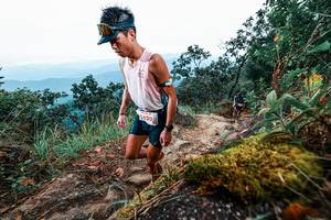 BIB: 
                            <button type="button" onclick="openModal(25408486)" class="btn btn-primary btn-sm float-right btn-popup" data-toggle="modal" data-target=".modal-high-quality">
                        <i class="fas fa-shopping-cart"></i> Add to Cart
                    </button>
                                            <button type="button" onclick="isThisMe(25408486, true)" class="btn btn-success btn-sm float-right btn-popup btn-isme hidden" data-toggle="tooltip" data-placement="bottom" title="นี่คือรูปของคุณใช่ไหม คลิกที่นี่เพื่อเอาเข้าอัลบั้ม">
                        <i class="fas fa-plus"></i> Add to album
                    </button>
                    <button type="button" onclick="isThisMe(25408486, false)" class="btn btn-warning btn-sm float-right btn-popup btn-isnotme hidden">
                        <i class="fas fa-ban"></i> Remove from album
                    </button>