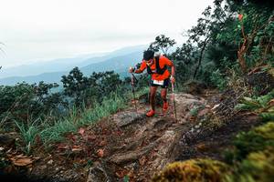 BIB: 
                            <button type="button" onclick="openModal(25402843)" class="btn btn-primary btn-sm float-right btn-popup" data-toggle="modal" data-target=".modal-high-quality">
                        <i class="fas fa-shopping-cart"></i> Add to Cart
                    </button>
                                            <button type="button" onclick="isThisMe(25402843, true)" class="btn btn-success btn-sm float-right btn-popup btn-isme hidden" data-toggle="tooltip" data-placement="bottom" title="นี่คือรูปของคุณใช่ไหม คลิกที่นี่เพื่อเอาเข้าอัลบั้ม">
                        <i class="fas fa-plus"></i> Add to album
                    </button>
                    <button type="button" onclick="isThisMe(25402843, false)" class="btn btn-warning btn-sm float-right btn-popup btn-isnotme hidden">
                        <i class="fas fa-ban"></i> Remove from album
                    </button>