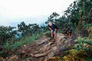 BIB: 
                            <button type="button" onclick="openModal(25415897)" class="btn btn-primary btn-sm float-right btn-popup" data-toggle="modal" data-target=".modal-high-quality">
                        <i class="fas fa-shopping-cart"></i> Add to Cart
                    </button>
                                            <button type="button" onclick="isThisMe(25415897, true)" class="btn btn-success btn-sm float-right btn-popup btn-isme hidden" data-toggle="tooltip" data-placement="bottom" title="นี่คือรูปของคุณใช่ไหม คลิกที่นี่เพื่อเอาเข้าอัลบั้ม">
                        <i class="fas fa-plus"></i> Add to album
                    </button>
                    <button type="button" onclick="isThisMe(25415897, false)" class="btn btn-warning btn-sm float-right btn-popup btn-isnotme hidden">
                        <i class="fas fa-ban"></i> Remove from album
                    </button>