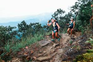 BIB: 
                            <button type="button" onclick="openModal(25416284)" class="btn btn-primary btn-sm float-right btn-popup" data-toggle="modal" data-target=".modal-high-quality">
                        <i class="fas fa-shopping-cart"></i> Add to Cart
                    </button>
                                            <button type="button" onclick="isThisMe(25416284, true)" class="btn btn-success btn-sm float-right btn-popup btn-isme hidden" data-toggle="tooltip" data-placement="bottom" title="นี่คือรูปของคุณใช่ไหม คลิกที่นี่เพื่อเอาเข้าอัลบั้ม">
                        <i class="fas fa-plus"></i> Add to album
                    </button>
                    <button type="button" onclick="isThisMe(25416284, false)" class="btn btn-warning btn-sm float-right btn-popup btn-isnotme hidden">
                        <i class="fas fa-ban"></i> Remove from album
                    </button>