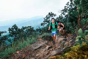 BIB: 
                            <button type="button" onclick="openModal(25415667)" class="btn btn-primary btn-sm float-right btn-popup" data-toggle="modal" data-target=".modal-high-quality">
                        <i class="fas fa-shopping-cart"></i> Add to Cart
                    </button>
                                            <button type="button" onclick="isThisMe(25415667, true)" class="btn btn-success btn-sm float-right btn-popup btn-isme hidden" data-toggle="tooltip" data-placement="bottom" title="นี่คือรูปของคุณใช่ไหม คลิกที่นี่เพื่อเอาเข้าอัลบั้ม">
                        <i class="fas fa-plus"></i> Add to album
                    </button>
                    <button type="button" onclick="isThisMe(25415667, false)" class="btn btn-warning btn-sm float-right btn-popup btn-isnotme hidden">
                        <i class="fas fa-ban"></i> Remove from album
                    </button>