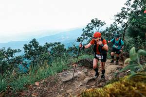 BIB: 
                            <button type="button" onclick="openModal(25425164)" class="btn btn-primary btn-sm float-right btn-popup" data-toggle="modal" data-target=".modal-high-quality">
                        <i class="fas fa-shopping-cart"></i> Add to Cart
                    </button>
                                            <button type="button" onclick="isThisMe(25425164, true)" class="btn btn-success btn-sm float-right btn-popup btn-isme hidden" data-toggle="tooltip" data-placement="bottom" title="นี่คือรูปของคุณใช่ไหม คลิกที่นี่เพื่อเอาเข้าอัลบั้ม">
                        <i class="fas fa-plus"></i> Add to album
                    </button>
                    <button type="button" onclick="isThisMe(25425164, false)" class="btn btn-warning btn-sm float-right btn-popup btn-isnotme hidden">
                        <i class="fas fa-ban"></i> Remove from album
                    </button>