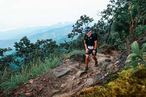 BIB: 
                            <button type="button" onclick="openModal(25415396)" class="btn btn-primary btn-sm float-right btn-popup" data-toggle="modal" data-target=".modal-high-quality">
                        <i class="fas fa-shopping-cart"></i> Add to Cart
                    </button>
                                            <button type="button" onclick="isThisMe(25415396, true)" class="btn btn-success btn-sm float-right btn-popup btn-isme hidden" data-toggle="tooltip" data-placement="bottom" title="นี่คือรูปของคุณใช่ไหม คลิกที่นี่เพื่อเอาเข้าอัลบั้ม">
                        <i class="fas fa-plus"></i> Add to album
                    </button>
                    <button type="button" onclick="isThisMe(25415396, false)" class="btn btn-warning btn-sm float-right btn-popup btn-isnotme hidden">
                        <i class="fas fa-ban"></i> Remove from album
                    </button>