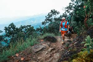 BIB: 
                            <button type="button" onclick="openModal(25417420)" class="btn btn-primary btn-sm float-right btn-popup" data-toggle="modal" data-target=".modal-high-quality">
                        <i class="fas fa-shopping-cart"></i> Add to Cart
                    </button>
                                            <button type="button" onclick="isThisMe(25417420, true)" class="btn btn-success btn-sm float-right btn-popup btn-isme hidden" data-toggle="tooltip" data-placement="bottom" title="นี่คือรูปของคุณใช่ไหม คลิกที่นี่เพื่อเอาเข้าอัลบั้ม">
                        <i class="fas fa-plus"></i> Add to album
                    </button>
                    <button type="button" onclick="isThisMe(25417420, false)" class="btn btn-warning btn-sm float-right btn-popup btn-isnotme hidden">
                        <i class="fas fa-ban"></i> Remove from album
                    </button>