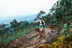 BIB: 
                            <button type="button" onclick="openModal(25415116)" class="btn btn-primary btn-sm float-right btn-popup" data-toggle="modal" data-target=".modal-high-quality">
                        <i class="fas fa-shopping-cart"></i> Add to Cart
                    </button>
                                            <button type="button" onclick="isThisMe(25415116, true)" class="btn btn-success btn-sm float-right btn-popup btn-isme hidden" data-toggle="tooltip" data-placement="bottom" title="นี่คือรูปของคุณใช่ไหม คลิกที่นี่เพื่อเอาเข้าอัลบั้ม">
                        <i class="fas fa-plus"></i> Add to album
                    </button>
                    <button type="button" onclick="isThisMe(25415116, false)" class="btn btn-warning btn-sm float-right btn-popup btn-isnotme hidden">
                        <i class="fas fa-ban"></i> Remove from album
                    </button>