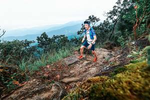 BIB: 
                            <button type="button" onclick="openModal(25408214)" class="btn btn-primary btn-sm float-right btn-popup" data-toggle="modal" data-target=".modal-high-quality">
                        <i class="fas fa-shopping-cart"></i> Add to Cart
                    </button>
                                            <button type="button" onclick="isThisMe(25408214, true)" class="btn btn-success btn-sm float-right btn-popup btn-isme hidden" data-toggle="tooltip" data-placement="bottom" title="นี่คือรูปของคุณใช่ไหม คลิกที่นี่เพื่อเอาเข้าอัลบั้ม">
                        <i class="fas fa-plus"></i> Add to album
                    </button>
                    <button type="button" onclick="isThisMe(25408214, false)" class="btn btn-warning btn-sm float-right btn-popup btn-isnotme hidden">
                        <i class="fas fa-ban"></i> Remove from album
                    </button>