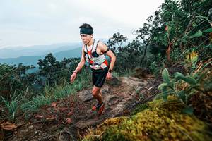 BIB: 
                            <button type="button" onclick="openModal(25403161)" class="btn btn-primary btn-sm float-right btn-popup" data-toggle="modal" data-target=".modal-high-quality">
                        <i class="fas fa-shopping-cart"></i> Add to Cart
                    </button>
                                            <button type="button" onclick="isThisMe(25403161, true)" class="btn btn-success btn-sm float-right btn-popup btn-isme hidden" data-toggle="tooltip" data-placement="bottom" title="นี่คือรูปของคุณใช่ไหม คลิกที่นี่เพื่อเอาเข้าอัลบั้ม">
                        <i class="fas fa-plus"></i> Add to album
                    </button>
                    <button type="button" onclick="isThisMe(25403161, false)" class="btn btn-warning btn-sm float-right btn-popup btn-isnotme hidden">
                        <i class="fas fa-ban"></i> Remove from album
                    </button>