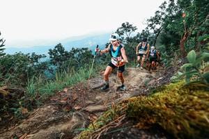 BIB: 
                            <button type="button" onclick="openModal(25414328)" class="btn btn-primary btn-sm float-right btn-popup" data-toggle="modal" data-target=".modal-high-quality">
                        <i class="fas fa-shopping-cart"></i> Add to Cart
                    </button>
                                            <button type="button" onclick="isThisMe(25414328, true)" class="btn btn-success btn-sm float-right btn-popup btn-isme hidden" data-toggle="tooltip" data-placement="bottom" title="นี่คือรูปของคุณใช่ไหม คลิกที่นี่เพื่อเอาเข้าอัลบั้ม">
                        <i class="fas fa-plus"></i> Add to album
                    </button>
                    <button type="button" onclick="isThisMe(25414328, false)" class="btn btn-warning btn-sm float-right btn-popup btn-isnotme hidden">
                        <i class="fas fa-ban"></i> Remove from album
                    </button>