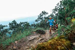 BIB: 
                            <button type="button" onclick="openModal(25425735)" class="btn btn-primary btn-sm float-right btn-popup" data-toggle="modal" data-target=".modal-high-quality">
                        <i class="fas fa-shopping-cart"></i> Add to Cart
                    </button>
                                            <button type="button" onclick="isThisMe(25425735, true)" class="btn btn-success btn-sm float-right btn-popup btn-isme hidden" data-toggle="tooltip" data-placement="bottom" title="นี่คือรูปของคุณใช่ไหม คลิกที่นี่เพื่อเอาเข้าอัลบั้ม">
                        <i class="fas fa-plus"></i> Add to album
                    </button>
                    <button type="button" onclick="isThisMe(25425735, false)" class="btn btn-warning btn-sm float-right btn-popup btn-isnotme hidden">
                        <i class="fas fa-ban"></i> Remove from album
                    </button>