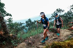 BIB: 
                            <button type="button" onclick="openModal(25425800)" class="btn btn-primary btn-sm float-right btn-popup" data-toggle="modal" data-target=".modal-high-quality">
                        <i class="fas fa-shopping-cart"></i> Add to Cart
                    </button>
                                            <button type="button" onclick="isThisMe(25425800, true)" class="btn btn-success btn-sm float-right btn-popup btn-isme hidden" data-toggle="tooltip" data-placement="bottom" title="นี่คือรูปของคุณใช่ไหม คลิกที่นี่เพื่อเอาเข้าอัลบั้ม">
                        <i class="fas fa-plus"></i> Add to album
                    </button>
                    <button type="button" onclick="isThisMe(25425800, false)" class="btn btn-warning btn-sm float-right btn-popup btn-isnotme hidden">
                        <i class="fas fa-ban"></i> Remove from album
                    </button>