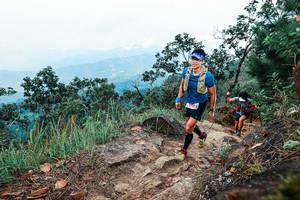 BIB: 
                            <button type="button" onclick="openModal(25417639)" class="btn btn-primary btn-sm float-right btn-popup" data-toggle="modal" data-target=".modal-high-quality">
                        <i class="fas fa-shopping-cart"></i> Add to Cart
                    </button>
                                            <button type="button" onclick="isThisMe(25417639, true)" class="btn btn-success btn-sm float-right btn-popup btn-isme hidden" data-toggle="tooltip" data-placement="bottom" title="นี่คือรูปของคุณใช่ไหม คลิกที่นี่เพื่อเอาเข้าอัลบั้ม">
                        <i class="fas fa-plus"></i> Add to album
                    </button>
                    <button type="button" onclick="isThisMe(25417639, false)" class="btn btn-warning btn-sm float-right btn-popup btn-isnotme hidden">
                        <i class="fas fa-ban"></i> Remove from album
                    </button>