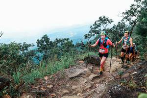 BIB: 
                            <button type="button" onclick="openModal(25423865)" class="btn btn-primary btn-sm float-right btn-popup" data-toggle="modal" data-target=".modal-high-quality">
                        <i class="fas fa-shopping-cart"></i> Add to Cart
                    </button>
                                            <button type="button" onclick="isThisMe(25423865, true)" class="btn btn-success btn-sm float-right btn-popup btn-isme hidden" data-toggle="tooltip" data-placement="bottom" title="นี่คือรูปของคุณใช่ไหม คลิกที่นี่เพื่อเอาเข้าอัลบั้ม">
                        <i class="fas fa-plus"></i> Add to album
                    </button>
                    <button type="button" onclick="isThisMe(25423865, false)" class="btn btn-warning btn-sm float-right btn-popup btn-isnotme hidden">
                        <i class="fas fa-ban"></i> Remove from album
                    </button>