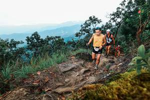 BIB: 
                            <button type="button" onclick="openModal(25414501)" class="btn btn-primary btn-sm float-right btn-popup" data-toggle="modal" data-target=".modal-high-quality">
                        <i class="fas fa-shopping-cart"></i> Add to Cart
                    </button>
                                            <button type="button" onclick="isThisMe(25414501, true)" class="btn btn-success btn-sm float-right btn-popup btn-isme hidden" data-toggle="tooltip" data-placement="bottom" title="นี่คือรูปของคุณใช่ไหม คลิกที่นี่เพื่อเอาเข้าอัลบั้ม">
                        <i class="fas fa-plus"></i> Add to album
                    </button>
                    <button type="button" onclick="isThisMe(25414501, false)" class="btn btn-warning btn-sm float-right btn-popup btn-isnotme hidden">
                        <i class="fas fa-ban"></i> Remove from album
                    </button>