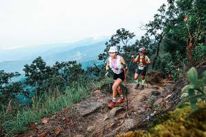 BIB: 
                            <button type="button" onclick="openModal(25415473)" class="btn btn-primary btn-sm float-right btn-popup" data-toggle="modal" data-target=".modal-high-quality">
                        <i class="fas fa-shopping-cart"></i> Add to Cart
                    </button>
                                            <button type="button" onclick="isThisMe(25415473, true)" class="btn btn-success btn-sm float-right btn-popup btn-isme hidden" data-toggle="tooltip" data-placement="bottom" title="นี่คือรูปของคุณใช่ไหม คลิกที่นี่เพื่อเอาเข้าอัลบั้ม">
                        <i class="fas fa-plus"></i> Add to album
                    </button>
                    <button type="button" onclick="isThisMe(25415473, false)" class="btn btn-warning btn-sm float-right btn-popup btn-isnotme hidden">
                        <i class="fas fa-ban"></i> Remove from album
                    </button>