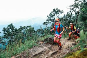 BIB: 
                            <button type="button" onclick="openModal(25425066)" class="btn btn-primary btn-sm float-right btn-popup" data-toggle="modal" data-target=".modal-high-quality">
                        <i class="fas fa-shopping-cart"></i> Add to Cart
                    </button>
                                            <button type="button" onclick="isThisMe(25425066, true)" class="btn btn-success btn-sm float-right btn-popup btn-isme hidden" data-toggle="tooltip" data-placement="bottom" title="นี่คือรูปของคุณใช่ไหม คลิกที่นี่เพื่อเอาเข้าอัลบั้ม">
                        <i class="fas fa-plus"></i> Add to album
                    </button>
                    <button type="button" onclick="isThisMe(25425066, false)" class="btn btn-warning btn-sm float-right btn-popup btn-isnotme hidden">
                        <i class="fas fa-ban"></i> Remove from album
                    </button>