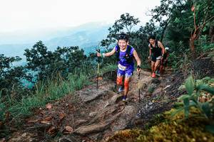 BIB: 
                            <button type="button" onclick="openModal(25415768)" class="btn btn-primary btn-sm float-right btn-popup" data-toggle="modal" data-target=".modal-high-quality">
                        <i class="fas fa-shopping-cart"></i> Add to Cart
                    </button>
                                            <button type="button" onclick="isThisMe(25415768, true)" class="btn btn-success btn-sm float-right btn-popup btn-isme hidden" data-toggle="tooltip" data-placement="bottom" title="นี่คือรูปของคุณใช่ไหม คลิกที่นี่เพื่อเอาเข้าอัลบั้ม">
                        <i class="fas fa-plus"></i> Add to album
                    </button>
                    <button type="button" onclick="isThisMe(25415768, false)" class="btn btn-warning btn-sm float-right btn-popup btn-isnotme hidden">
                        <i class="fas fa-ban"></i> Remove from album
                    </button>