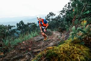 BIB: 
                            <button type="button" onclick="openModal(25403618)" class="btn btn-primary btn-sm float-right btn-popup" data-toggle="modal" data-target=".modal-high-quality">
                        <i class="fas fa-shopping-cart"></i> Add to Cart
                    </button>
                                            <button type="button" onclick="isThisMe(25403618, true)" class="btn btn-success btn-sm float-right btn-popup btn-isme hidden" data-toggle="tooltip" data-placement="bottom" title="นี่คือรูปของคุณใช่ไหม คลิกที่นี่เพื่อเอาเข้าอัลบั้ม">
                        <i class="fas fa-plus"></i> Add to album
                    </button>
                    <button type="button" onclick="isThisMe(25403618, false)" class="btn btn-warning btn-sm float-right btn-popup btn-isnotme hidden">
                        <i class="fas fa-ban"></i> Remove from album
                    </button>