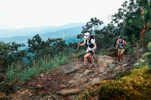 BIB: 
                            <button type="button" onclick="openModal(25413199)" class="btn btn-primary btn-sm float-right btn-popup" data-toggle="modal" data-target=".modal-high-quality">
                        <i class="fas fa-shopping-cart"></i> Add to Cart
                    </button>
                                            <button type="button" onclick="isThisMe(25413199, true)" class="btn btn-success btn-sm float-right btn-popup btn-isme hidden" data-toggle="tooltip" data-placement="bottom" title="นี่คือรูปของคุณใช่ไหม คลิกที่นี่เพื่อเอาเข้าอัลบั้ม">
                        <i class="fas fa-plus"></i> Add to album
                    </button>
                    <button type="button" onclick="isThisMe(25413199, false)" class="btn btn-warning btn-sm float-right btn-popup btn-isnotme hidden">
                        <i class="fas fa-ban"></i> Remove from album
                    </button>