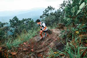 BIB: 
                            <button type="button" onclick="openModal(25402646)" class="btn btn-primary btn-sm float-right btn-popup" data-toggle="modal" data-target=".modal-high-quality">
                        <i class="fas fa-shopping-cart"></i> Add to Cart
                    </button>
                                            <button type="button" onclick="isThisMe(25402646, true)" class="btn btn-success btn-sm float-right btn-popup btn-isme hidden" data-toggle="tooltip" data-placement="bottom" title="นี่คือรูปของคุณใช่ไหม คลิกที่นี่เพื่อเอาเข้าอัลบั้ม">
                        <i class="fas fa-plus"></i> Add to album
                    </button>
                    <button type="button" onclick="isThisMe(25402646, false)" class="btn btn-warning btn-sm float-right btn-popup btn-isnotme hidden">
                        <i class="fas fa-ban"></i> Remove from album
                    </button>