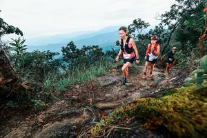 BIB: 
                            <button type="button" onclick="openModal(25406720)" class="btn btn-primary btn-sm float-right btn-popup" data-toggle="modal" data-target=".modal-high-quality">
                        <i class="fas fa-shopping-cart"></i> Add to Cart
                    </button>
                                            <button type="button" onclick="isThisMe(25406720, true)" class="btn btn-success btn-sm float-right btn-popup btn-isme hidden" data-toggle="tooltip" data-placement="bottom" title="นี่คือรูปของคุณใช่ไหม คลิกที่นี่เพื่อเอาเข้าอัลบั้ม">
                        <i class="fas fa-plus"></i> Add to album
                    </button>
                    <button type="button" onclick="isThisMe(25406720, false)" class="btn btn-warning btn-sm float-right btn-popup btn-isnotme hidden">
                        <i class="fas fa-ban"></i> Remove from album
                    </button>