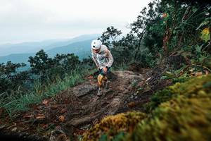 BIB: 
                            <button type="button" onclick="openModal(25402936)" class="btn btn-primary btn-sm float-right btn-popup" data-toggle="modal" data-target=".modal-high-quality">
                        <i class="fas fa-shopping-cart"></i> Add to Cart
                    </button>
                                            <button type="button" onclick="isThisMe(25402936, true)" class="btn btn-success btn-sm float-right btn-popup btn-isme hidden" data-toggle="tooltip" data-placement="bottom" title="นี่คือรูปของคุณใช่ไหม คลิกที่นี่เพื่อเอาเข้าอัลบั้ม">
                        <i class="fas fa-plus"></i> Add to album
                    </button>
                    <button type="button" onclick="isThisMe(25402936, false)" class="btn btn-warning btn-sm float-right btn-popup btn-isnotme hidden">
                        <i class="fas fa-ban"></i> Remove from album
                    </button>