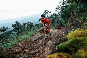 BIB: 
                            <button type="button" onclick="openModal(25402728)" class="btn btn-primary btn-sm float-right btn-popup" data-toggle="modal" data-target=".modal-high-quality">
                        <i class="fas fa-shopping-cart"></i> Add to Cart
                    </button>
                                            <button type="button" onclick="isThisMe(25402728, true)" class="btn btn-success btn-sm float-right btn-popup btn-isme hidden" data-toggle="tooltip" data-placement="bottom" title="นี่คือรูปของคุณใช่ไหม คลิกที่นี่เพื่อเอาเข้าอัลบั้ม">
                        <i class="fas fa-plus"></i> Add to album
                    </button>
                    <button type="button" onclick="isThisMe(25402728, false)" class="btn btn-warning btn-sm float-right btn-popup btn-isnotme hidden">
                        <i class="fas fa-ban"></i> Remove from album
                    </button>