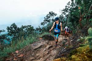 BIB: 
                            <button type="button" onclick="openModal(25418503)" class="btn btn-primary btn-sm float-right btn-popup" data-toggle="modal" data-target=".modal-high-quality">
                        <i class="fas fa-shopping-cart"></i> Add to Cart
                    </button>
                                            <button type="button" onclick="isThisMe(25418503, true)" class="btn btn-success btn-sm float-right btn-popup btn-isme hidden" data-toggle="tooltip" data-placement="bottom" title="นี่คือรูปของคุณใช่ไหม คลิกที่นี่เพื่อเอาเข้าอัลบั้ม">
                        <i class="fas fa-plus"></i> Add to album
                    </button>
                    <button type="button" onclick="isThisMe(25418503, false)" class="btn btn-warning btn-sm float-right btn-popup btn-isnotme hidden">
                        <i class="fas fa-ban"></i> Remove from album
                    </button>