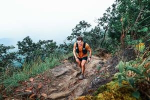 BIB: 
                            <button type="button" onclick="openModal(25416020)" class="btn btn-primary btn-sm float-right btn-popup" data-toggle="modal" data-target=".modal-high-quality">
                        <i class="fas fa-shopping-cart"></i> Add to Cart
                    </button>
                                            <button type="button" onclick="isThisMe(25416020, true)" class="btn btn-success btn-sm float-right btn-popup btn-isme hidden" data-toggle="tooltip" data-placement="bottom" title="นี่คือรูปของคุณใช่ไหม คลิกที่นี่เพื่อเอาเข้าอัลบั้ม">
                        <i class="fas fa-plus"></i> Add to album
                    </button>
                    <button type="button" onclick="isThisMe(25416020, false)" class="btn btn-warning btn-sm float-right btn-popup btn-isnotme hidden">
                        <i class="fas fa-ban"></i> Remove from album
                    </button>