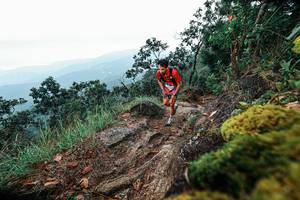 BIB: 
                            <button type="button" onclick="openModal(25402720)" class="btn btn-primary btn-sm float-right btn-popup" data-toggle="modal" data-target=".modal-high-quality">
                        <i class="fas fa-shopping-cart"></i> Add to Cart
                    </button>
                                            <button type="button" onclick="isThisMe(25402720, true)" class="btn btn-success btn-sm float-right btn-popup btn-isme hidden" data-toggle="tooltip" data-placement="bottom" title="นี่คือรูปของคุณใช่ไหม คลิกที่นี่เพื่อเอาเข้าอัลบั้ม">
                        <i class="fas fa-plus"></i> Add to album
                    </button>
                    <button type="button" onclick="isThisMe(25402720, false)" class="btn btn-warning btn-sm float-right btn-popup btn-isnotme hidden">
                        <i class="fas fa-ban"></i> Remove from album
                    </button>