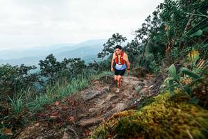 BIB: 
                            <button type="button" onclick="openModal(25404234)" class="btn btn-primary btn-sm float-right btn-popup" data-toggle="modal" data-target=".modal-high-quality">
                        <i class="fas fa-shopping-cart"></i> Add to Cart
                    </button>
                                            <button type="button" onclick="isThisMe(25404234, true)" class="btn btn-success btn-sm float-right btn-popup btn-isme hidden" data-toggle="tooltip" data-placement="bottom" title="นี่คือรูปของคุณใช่ไหม คลิกที่นี่เพื่อเอาเข้าอัลบั้ม">
                        <i class="fas fa-plus"></i> Add to album
                    </button>
                    <button type="button" onclick="isThisMe(25404234, false)" class="btn btn-warning btn-sm float-right btn-popup btn-isnotme hidden">
                        <i class="fas fa-ban"></i> Remove from album
                    </button>