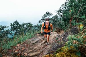 BIB: 
                            <button type="button" onclick="openModal(25416021)" class="btn btn-primary btn-sm float-right btn-popup" data-toggle="modal" data-target=".modal-high-quality">
                        <i class="fas fa-shopping-cart"></i> Add to Cart
                    </button>
                                            <button type="button" onclick="isThisMe(25416021, true)" class="btn btn-success btn-sm float-right btn-popup btn-isme hidden" data-toggle="tooltip" data-placement="bottom" title="นี่คือรูปของคุณใช่ไหม คลิกที่นี่เพื่อเอาเข้าอัลบั้ม">
                        <i class="fas fa-plus"></i> Add to album
                    </button>
                    <button type="button" onclick="isThisMe(25416021, false)" class="btn btn-warning btn-sm float-right btn-popup btn-isnotme hidden">
                        <i class="fas fa-ban"></i> Remove from album
                    </button>