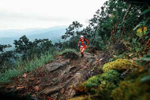 BIB: 
                            <button type="button" onclick="openModal(25402700)" class="btn btn-primary btn-sm float-right btn-popup" data-toggle="modal" data-target=".modal-high-quality">
                        <i class="fas fa-shopping-cart"></i> Add to Cart
                    </button>
                                            <button type="button" onclick="isThisMe(25402700, true)" class="btn btn-success btn-sm float-right btn-popup btn-isme hidden" data-toggle="tooltip" data-placement="bottom" title="นี่คือรูปของคุณใช่ไหม คลิกที่นี่เพื่อเอาเข้าอัลบั้ม">
                        <i class="fas fa-plus"></i> Add to album
                    </button>
                    <button type="button" onclick="isThisMe(25402700, false)" class="btn btn-warning btn-sm float-right btn-popup btn-isnotme hidden">
                        <i class="fas fa-ban"></i> Remove from album
                    </button>