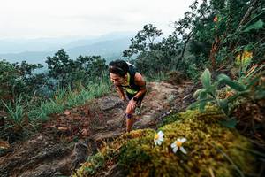 BIB: 
                            <button type="button" onclick="openModal(25403287)" class="btn btn-primary btn-sm float-right btn-popup" data-toggle="modal" data-target=".modal-high-quality">
                        <i class="fas fa-shopping-cart"></i> Add to Cart
                    </button>
                                            <button type="button" onclick="isThisMe(25403287, true)" class="btn btn-success btn-sm float-right btn-popup btn-isme hidden" data-toggle="tooltip" data-placement="bottom" title="นี่คือรูปของคุณใช่ไหม คลิกที่นี่เพื่อเอาเข้าอัลบั้ม">
                        <i class="fas fa-plus"></i> Add to album
                    </button>
                    <button type="button" onclick="isThisMe(25403287, false)" class="btn btn-warning btn-sm float-right btn-popup btn-isnotme hidden">
                        <i class="fas fa-ban"></i> Remove from album
                    </button>