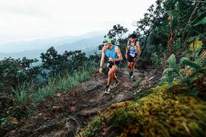 BIB: 
                            <button type="button" onclick="openModal(25403521)" class="btn btn-primary btn-sm float-right btn-popup" data-toggle="modal" data-target=".modal-high-quality">
                        <i class="fas fa-shopping-cart"></i> Add to Cart
                    </button>
                                            <button type="button" onclick="isThisMe(25403521, true)" class="btn btn-success btn-sm float-right btn-popup btn-isme hidden" data-toggle="tooltip" data-placement="bottom" title="นี่คือรูปของคุณใช่ไหม คลิกที่นี่เพื่อเอาเข้าอัลบั้ม">
                        <i class="fas fa-plus"></i> Add to album
                    </button>
                    <button type="button" onclick="isThisMe(25403521, false)" class="btn btn-warning btn-sm float-right btn-popup btn-isnotme hidden">
                        <i class="fas fa-ban"></i> Remove from album
                    </button>