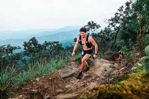 BIB: 
                            <button type="button" onclick="openModal(25413488)" class="btn btn-primary btn-sm float-right btn-popup" data-toggle="modal" data-target=".modal-high-quality">
                        <i class="fas fa-shopping-cart"></i> Add to Cart
                    </button>
                                            <button type="button" onclick="isThisMe(25413488, true)" class="btn btn-success btn-sm float-right btn-popup btn-isme hidden" data-toggle="tooltip" data-placement="bottom" title="นี่คือรูปของคุณใช่ไหม คลิกที่นี่เพื่อเอาเข้าอัลบั้ม">
                        <i class="fas fa-plus"></i> Add to album
                    </button>
                    <button type="button" onclick="isThisMe(25413488, false)" class="btn btn-warning btn-sm float-right btn-popup btn-isnotme hidden">
                        <i class="fas fa-ban"></i> Remove from album
                    </button>