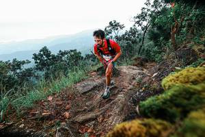 BIB: 
                            <button type="button" onclick="openModal(25402733)" class="btn btn-primary btn-sm float-right btn-popup" data-toggle="modal" data-target=".modal-high-quality">
                        <i class="fas fa-shopping-cart"></i> Add to Cart
                    </button>
                                            <button type="button" onclick="isThisMe(25402733, true)" class="btn btn-success btn-sm float-right btn-popup btn-isme hidden" data-toggle="tooltip" data-placement="bottom" title="นี่คือรูปของคุณใช่ไหม คลิกที่นี่เพื่อเอาเข้าอัลบั้ม">
                        <i class="fas fa-plus"></i> Add to album
                    </button>
                    <button type="button" onclick="isThisMe(25402733, false)" class="btn btn-warning btn-sm float-right btn-popup btn-isnotme hidden">
                        <i class="fas fa-ban"></i> Remove from album
                    </button>